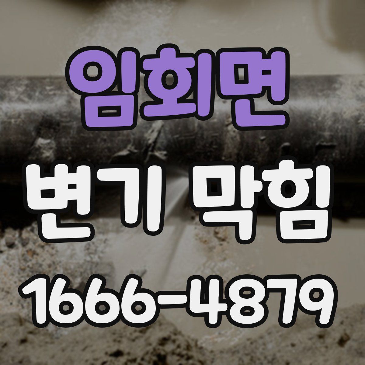 임회면 변기 막힘