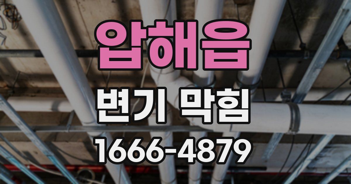 압해읍 변기 막힘
