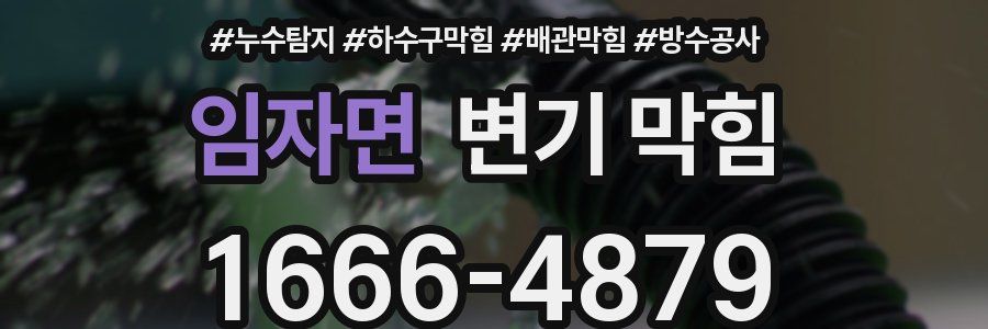 임자면 변기 막힘