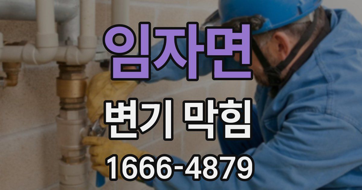 임자면 변기 막힘