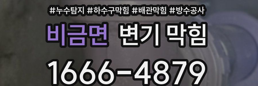 비금면 변기 막힘