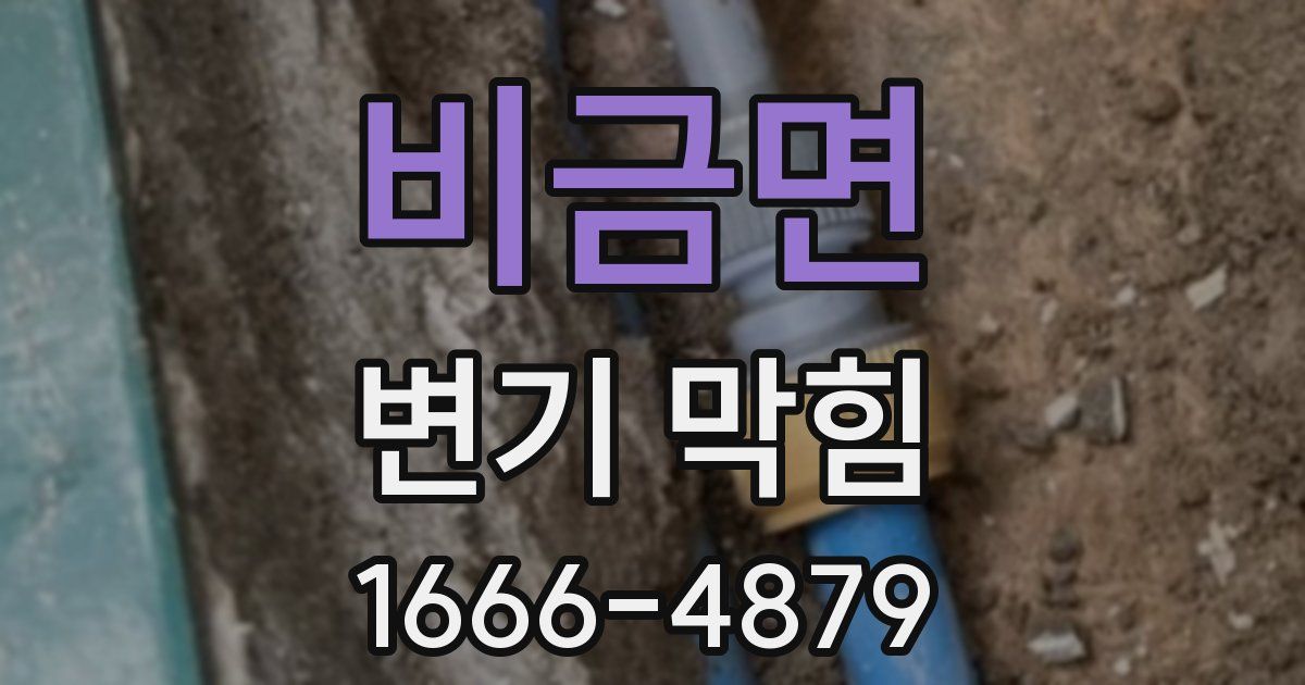비금면 변기 막힘