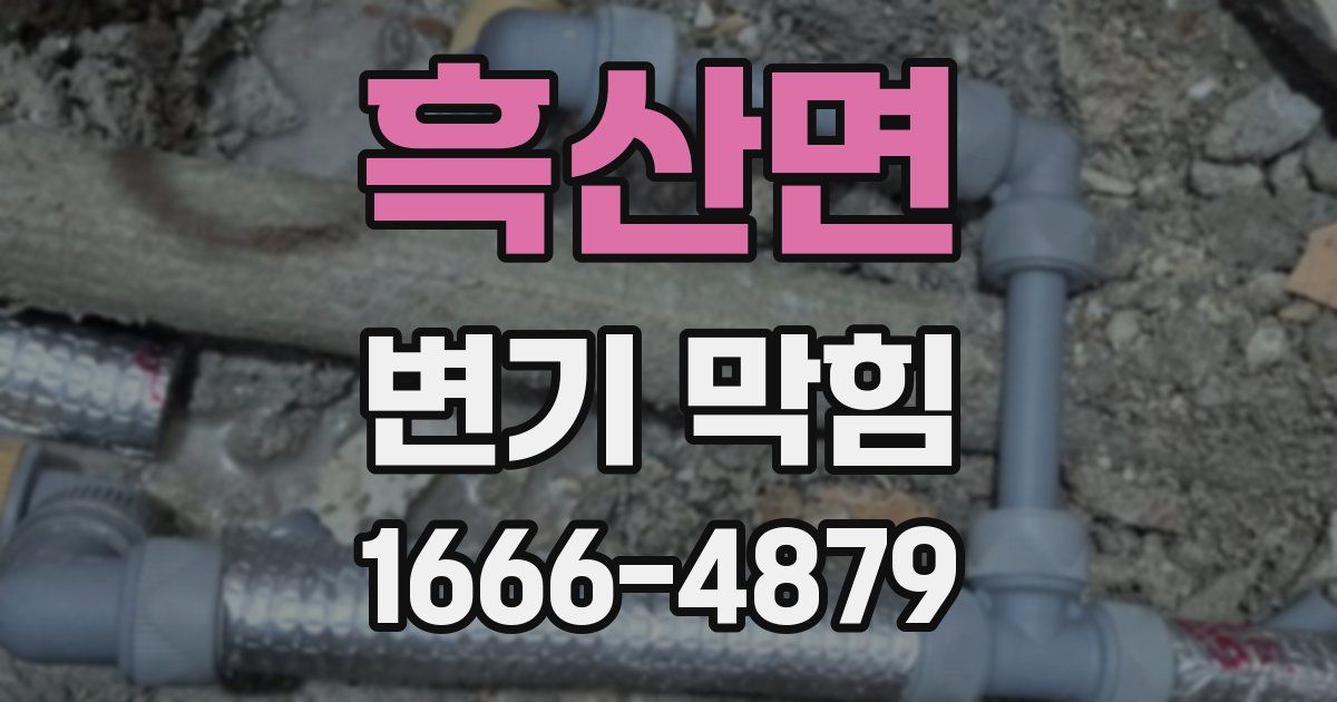 흑산면 변기 막힘