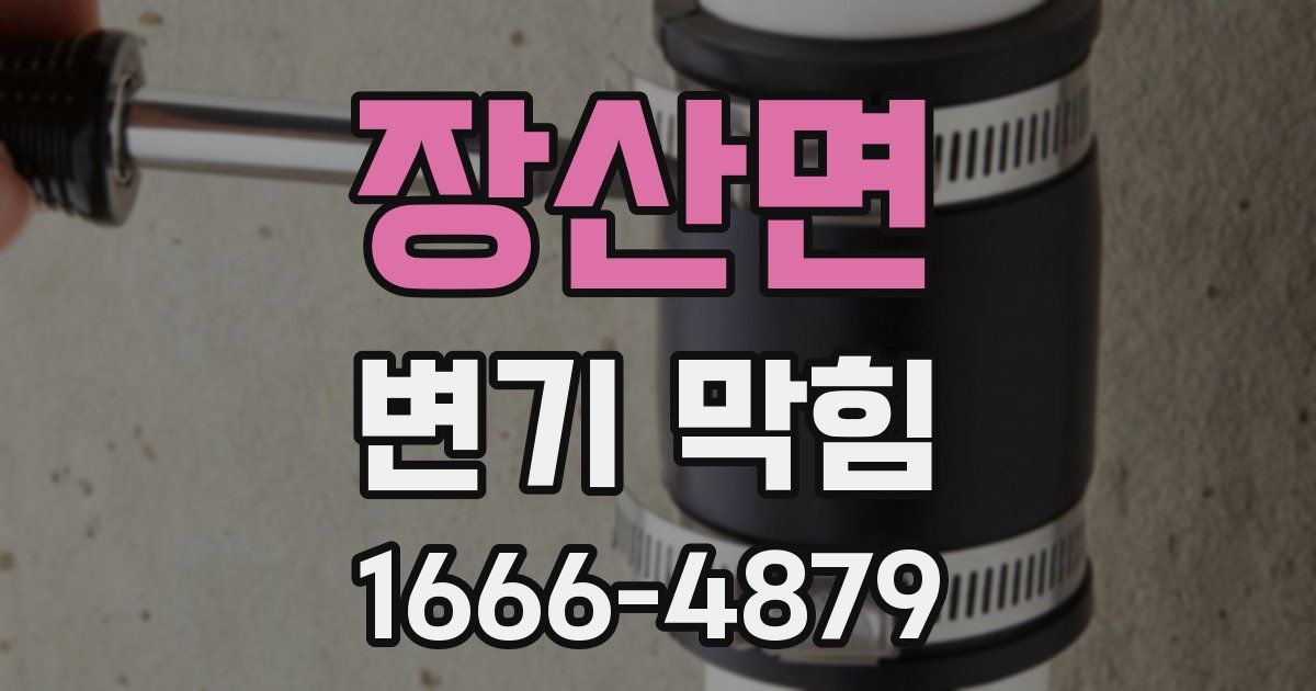 장산면 변기 막힘