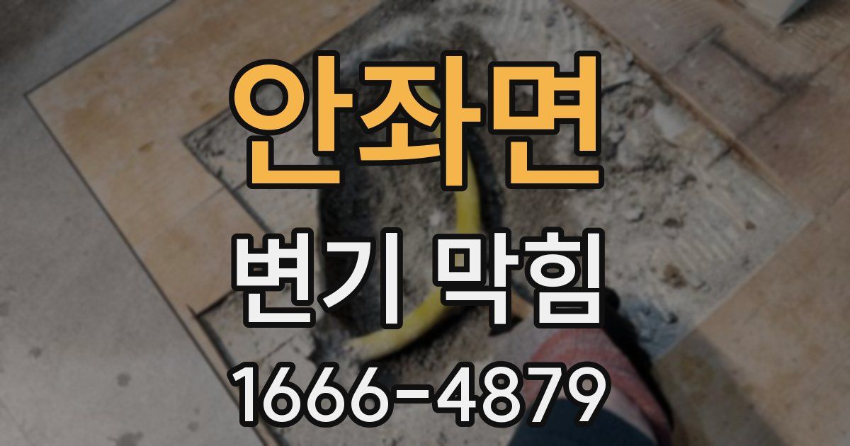 안좌면 변기 막힘