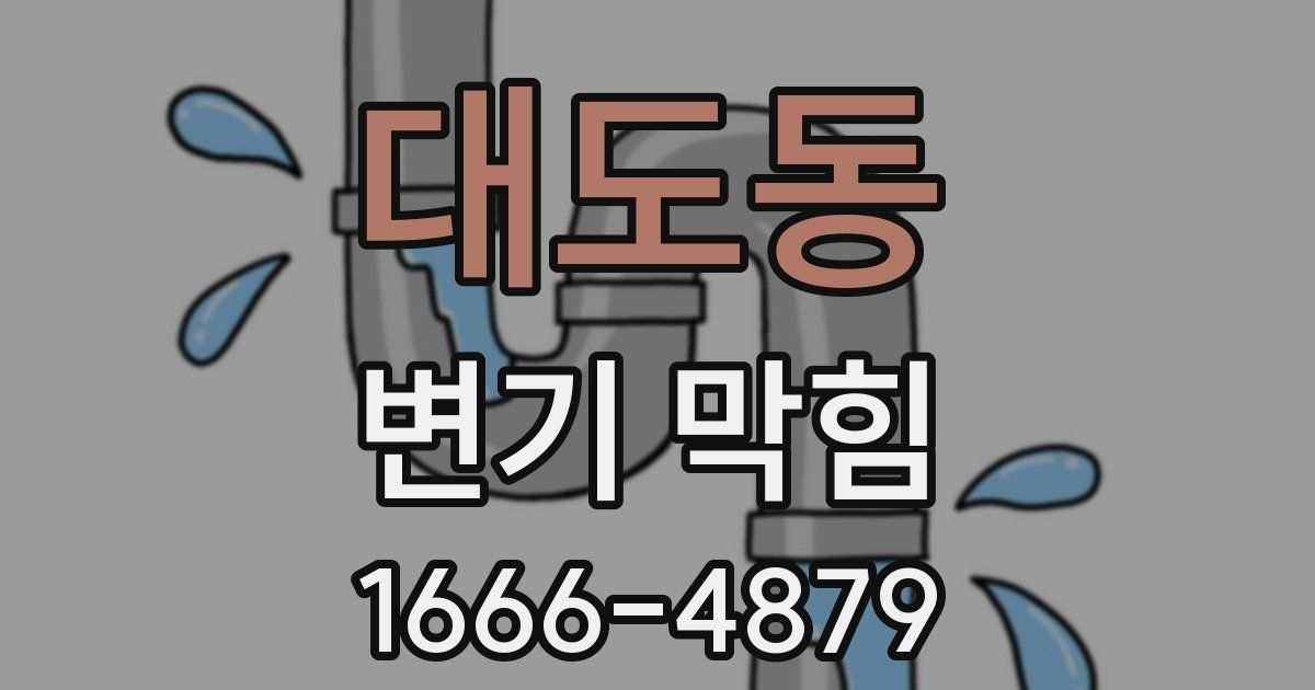 대도동 변기 막힘