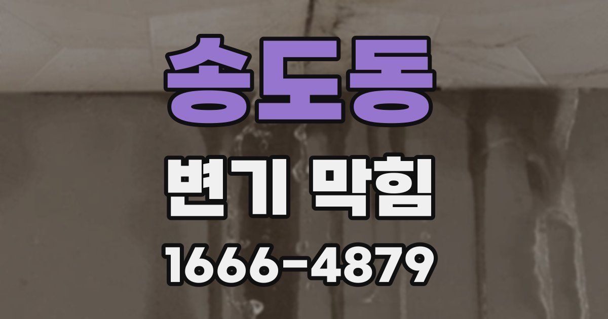 송도동 변기 막힘