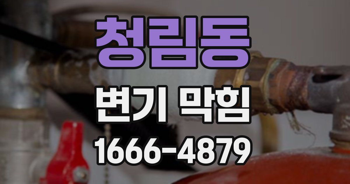 청림동 변기 막힘