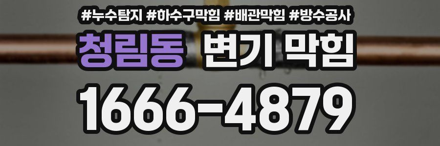 청림동 변기 막힘