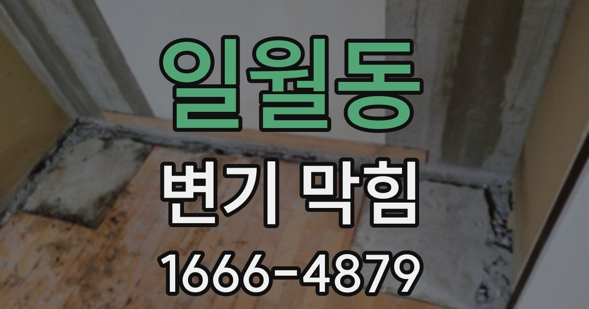 일월동 변기 막힘