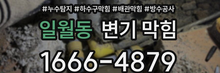 일월동 변기 막힘