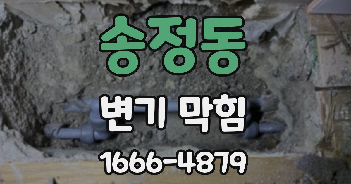 송정동 변기 막힘