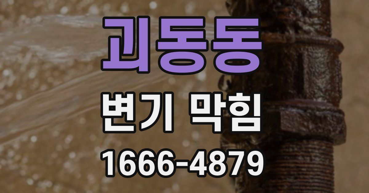 괴동동 변기 막힘