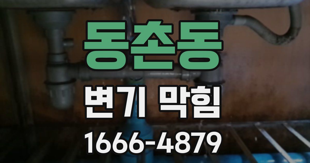 동촌동 변기 막힘