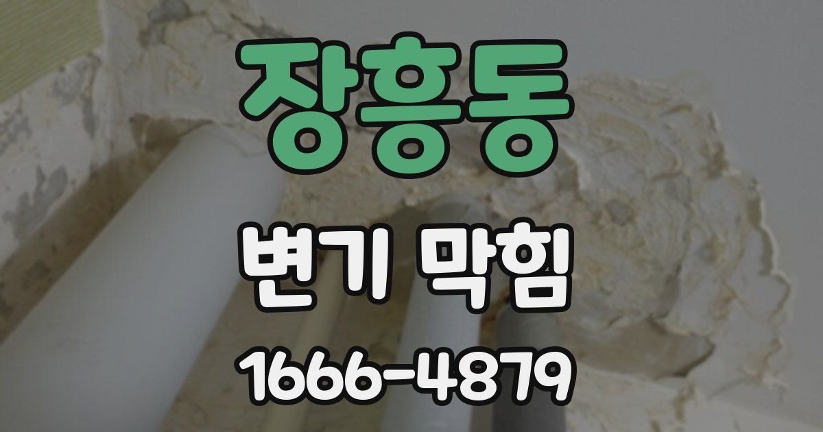 장흥동 변기 막힘