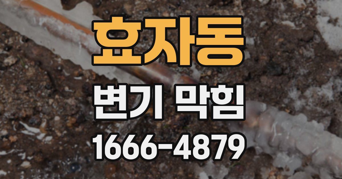 효자동 변기 막힘