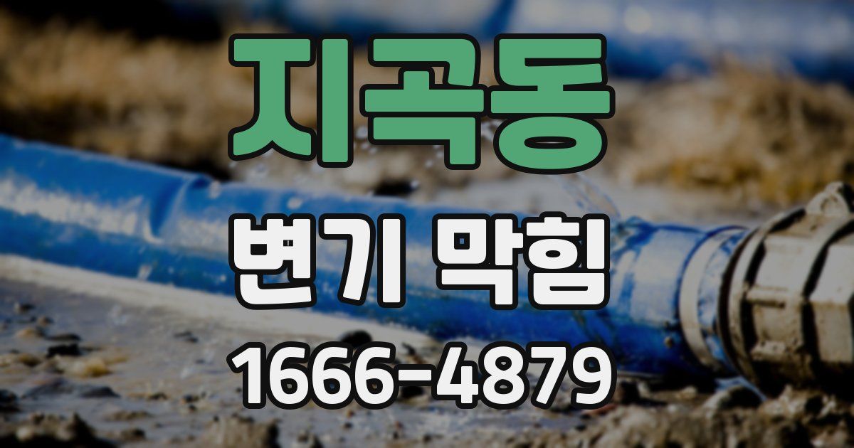 지곡동 변기 막힘
