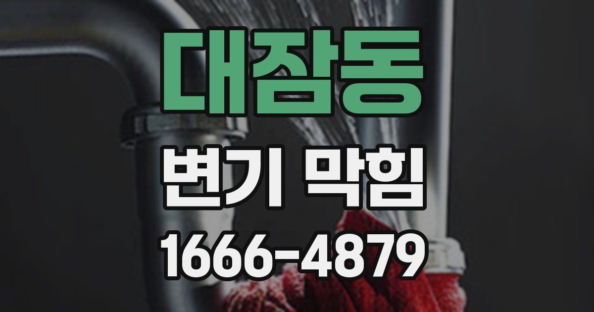 대잠동 변기 막힘