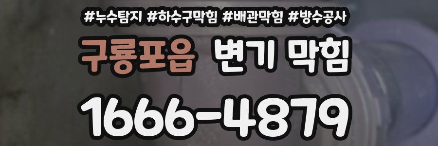 구룡포읍 변기 막힘