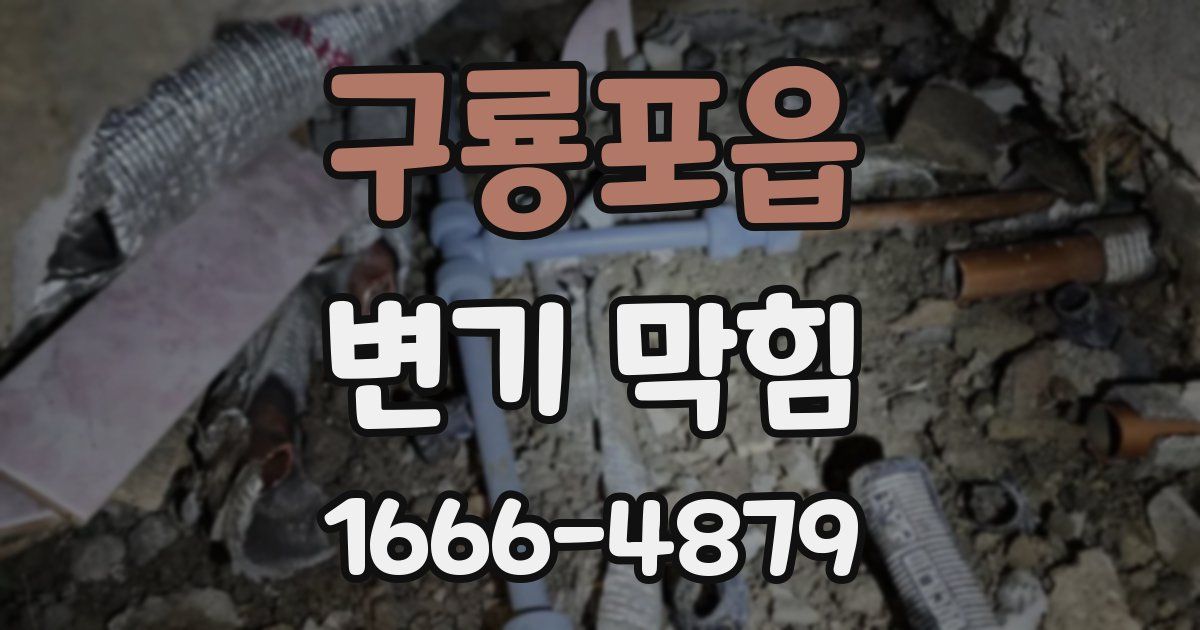 구룡포읍 변기 막힘