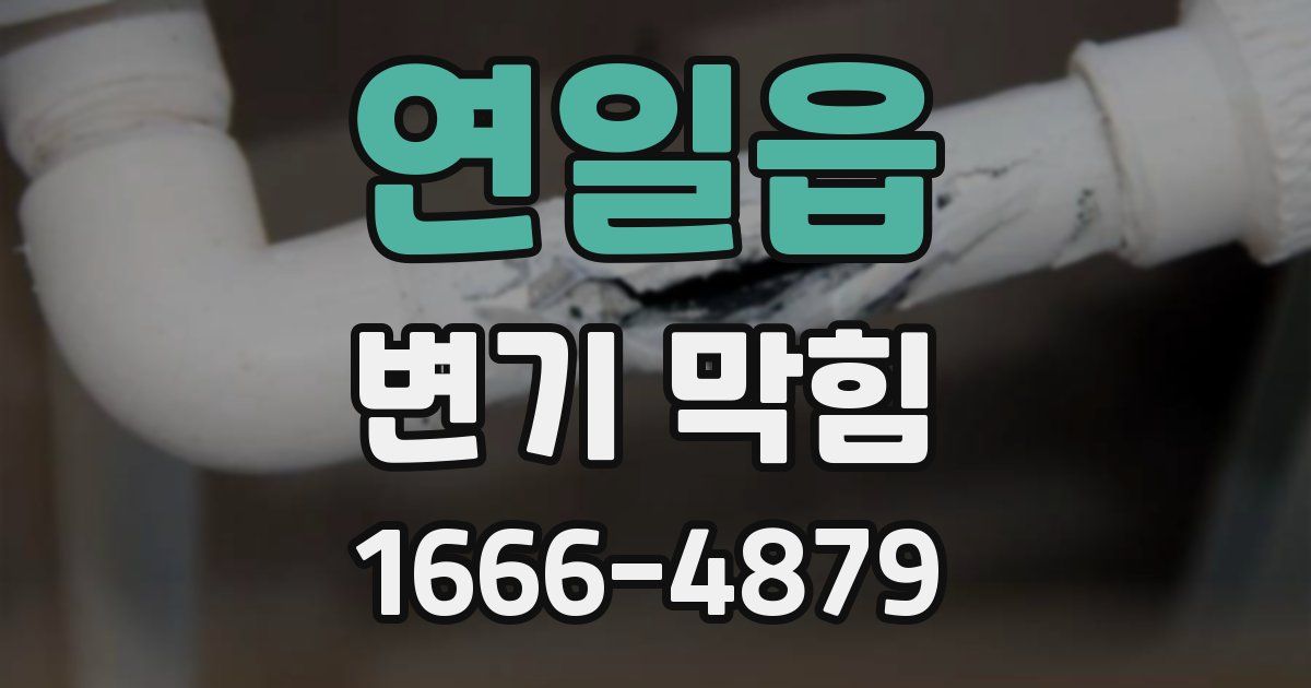 연일읍 변기 막힘