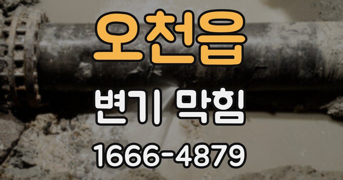 오천읍 변기 막힘