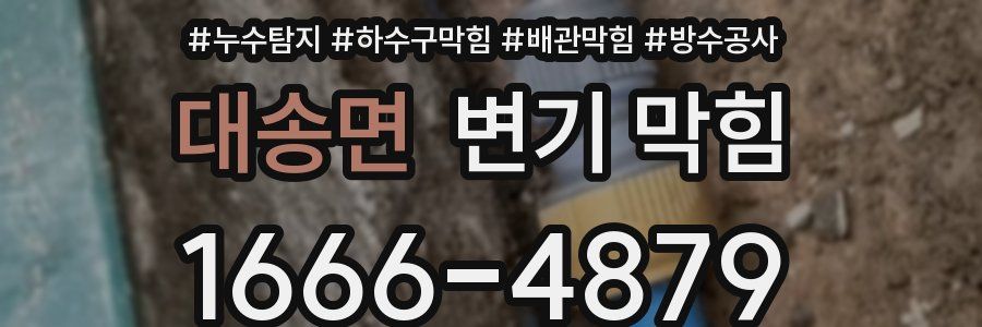 대송면 변기 막힘