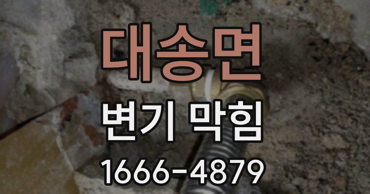 대송면 변기 막힘