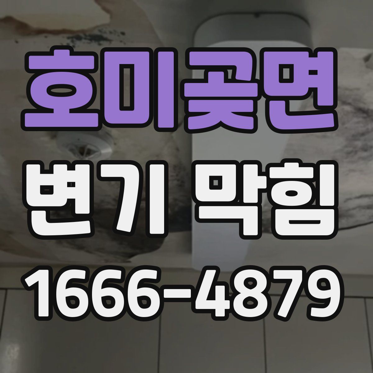 호미곶면 변기 막힘