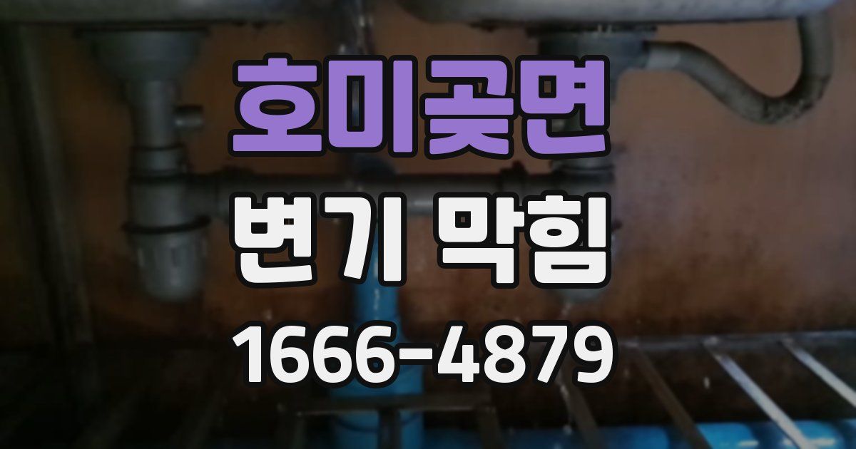호미곶면 변기 막힘