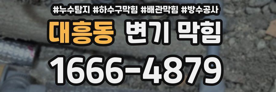 대흥동 변기 막힘