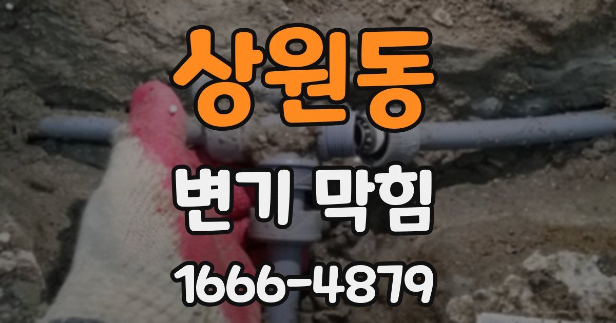 상원동 변기 막힘