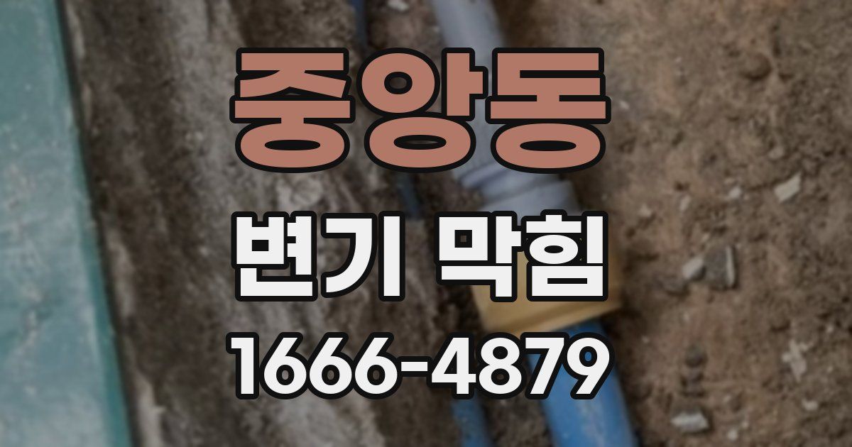 중앙동 변기 막힘