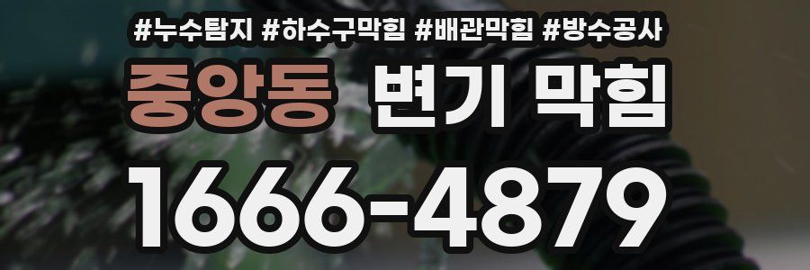 중앙동 변기 막힘