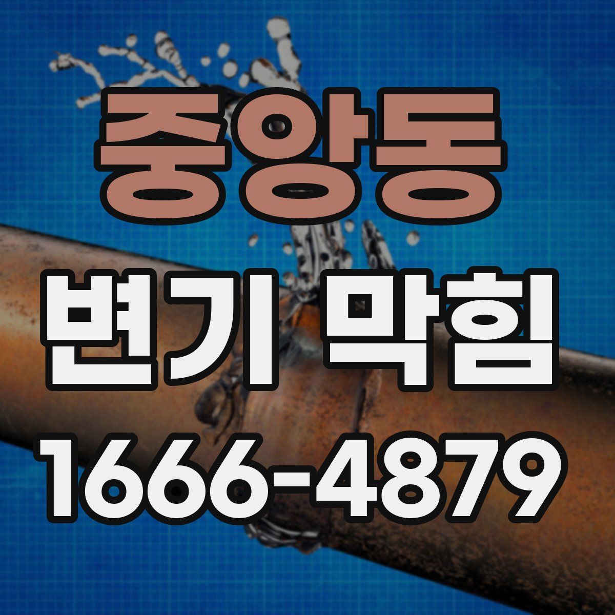 중앙동 변기 막힘