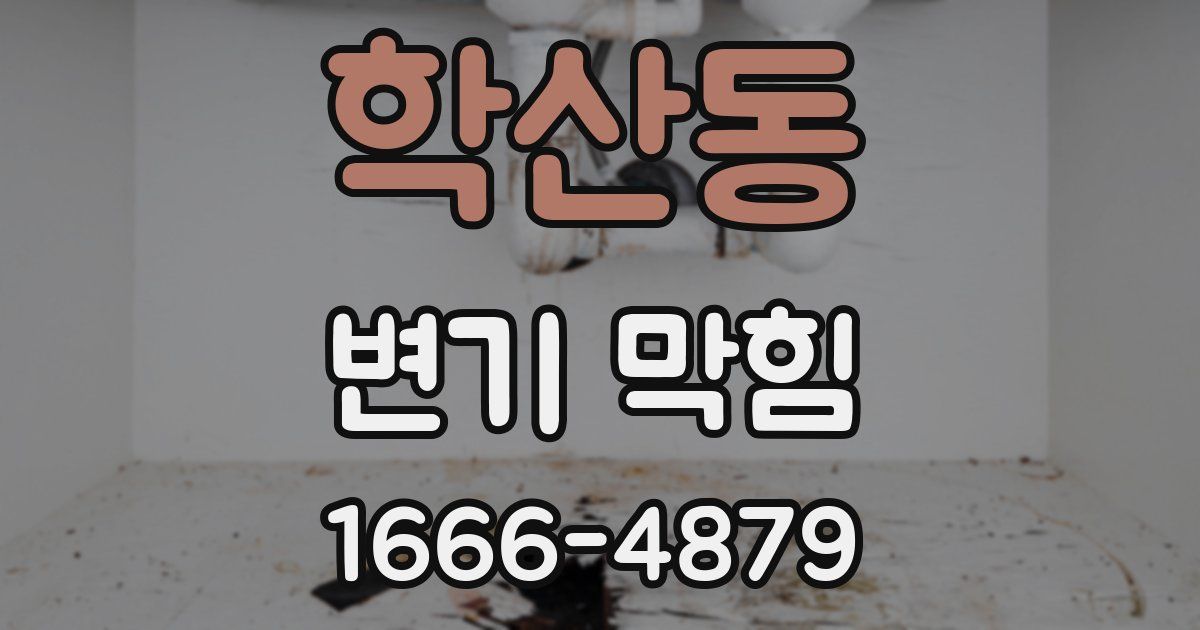 학산동 변기 막힘
