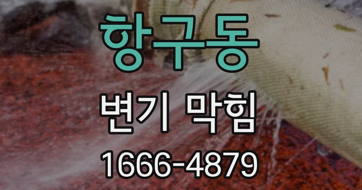 항구동 변기 막힘