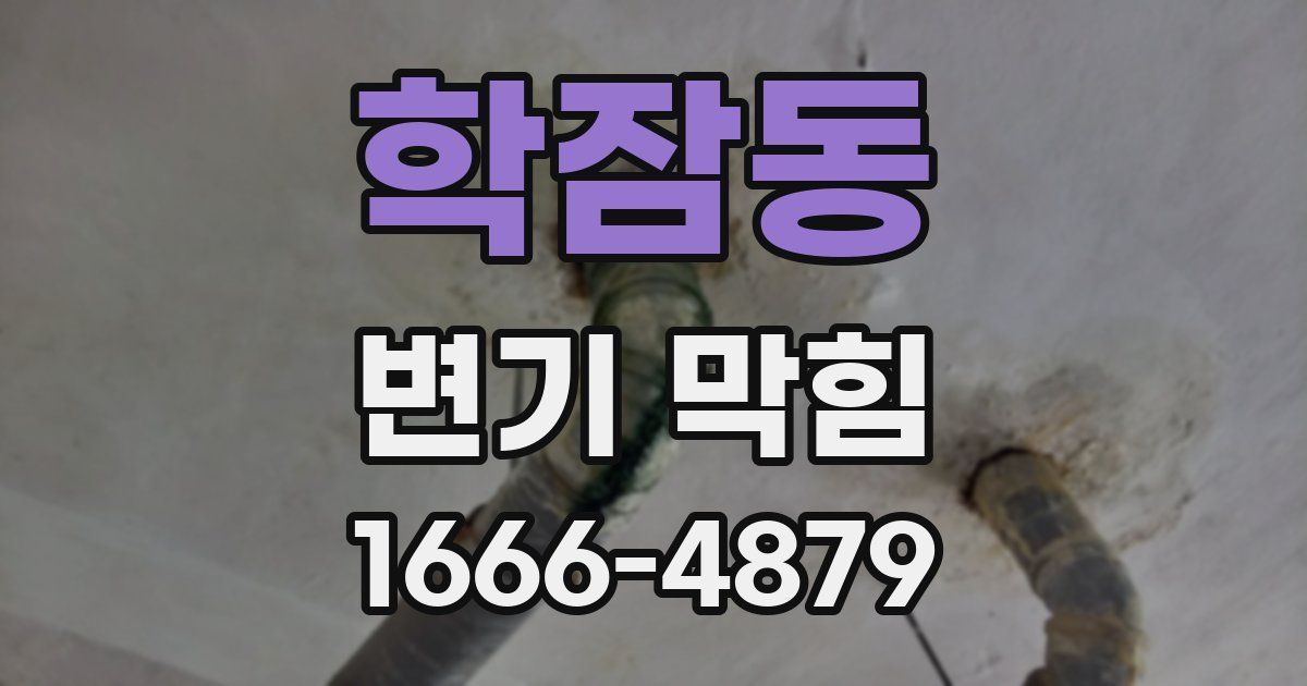 학잠동 변기 막힘
