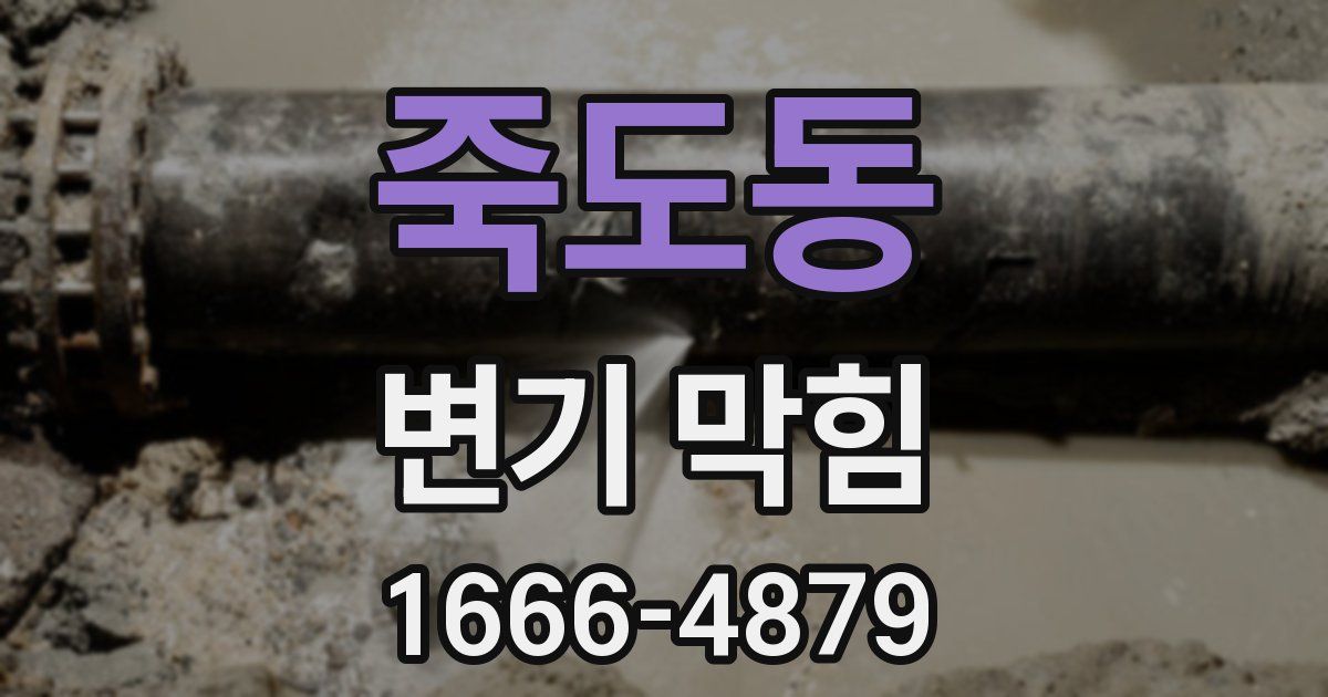 죽도동 변기 막힘