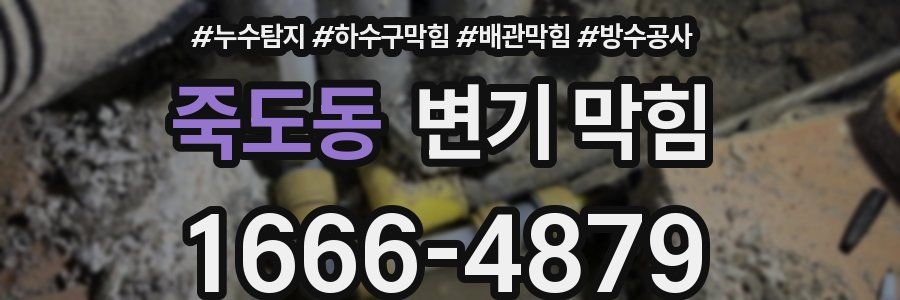 죽도동 변기 막힘