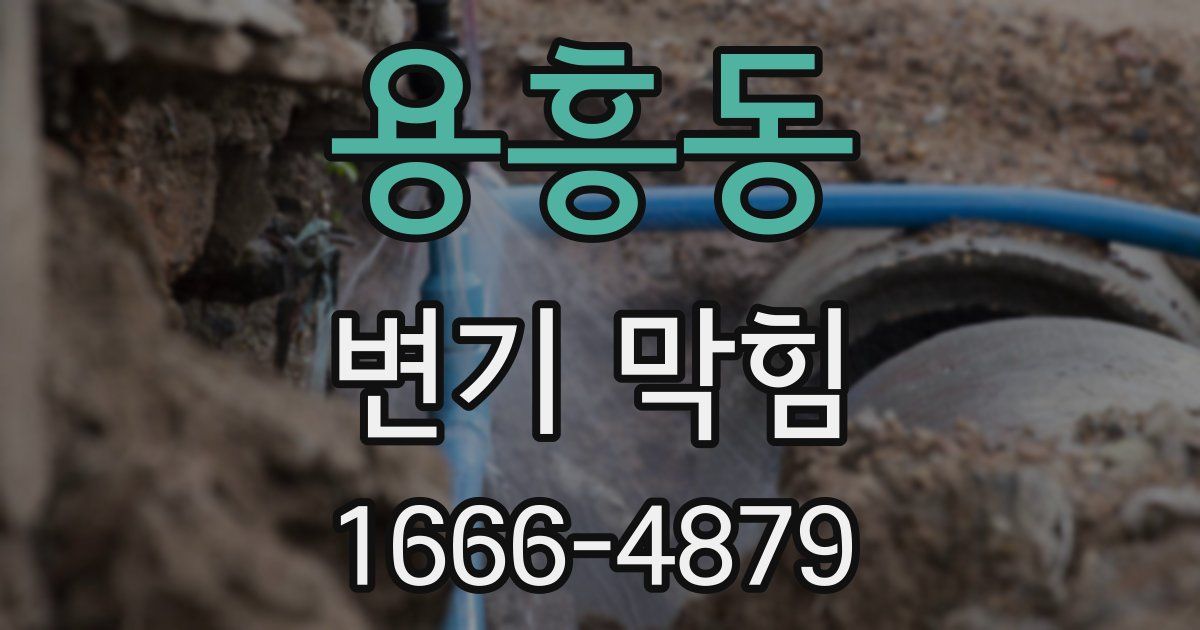 용흥동 변기 막힘