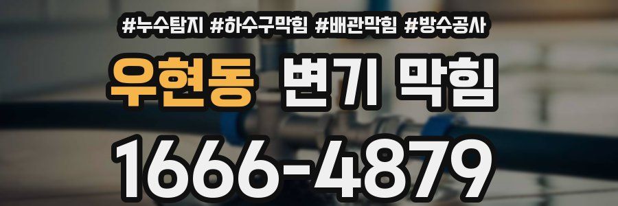 우현동 변기 막힘