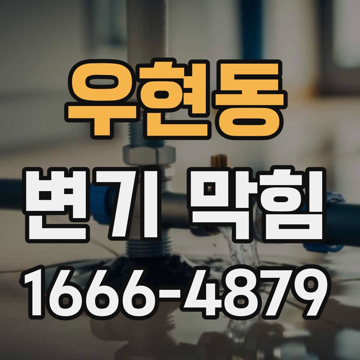 우현동 변기 막힘
