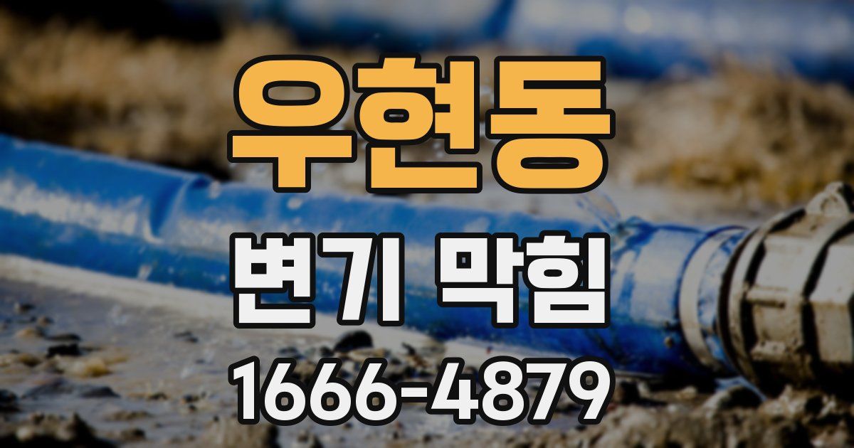 우현동 변기 막힘