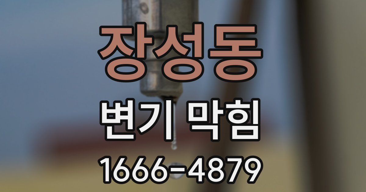 장성동 변기 막힘
