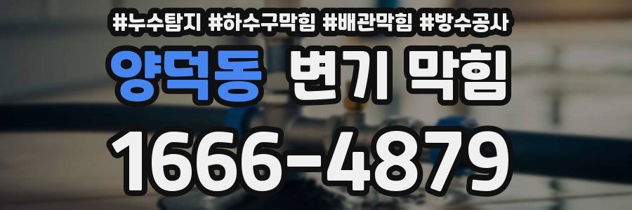 양덕동 변기 막힘