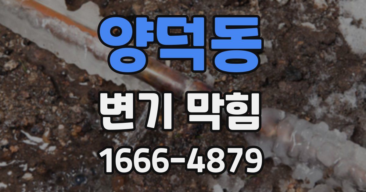양덕동 변기 막힘