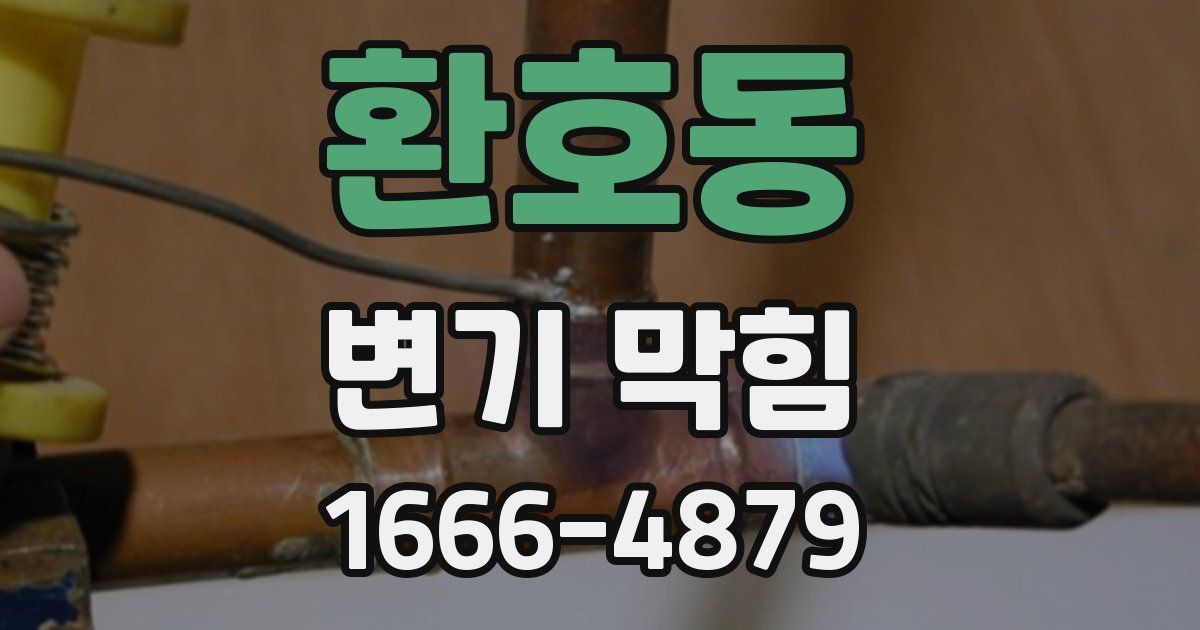 환호동 변기 막힘