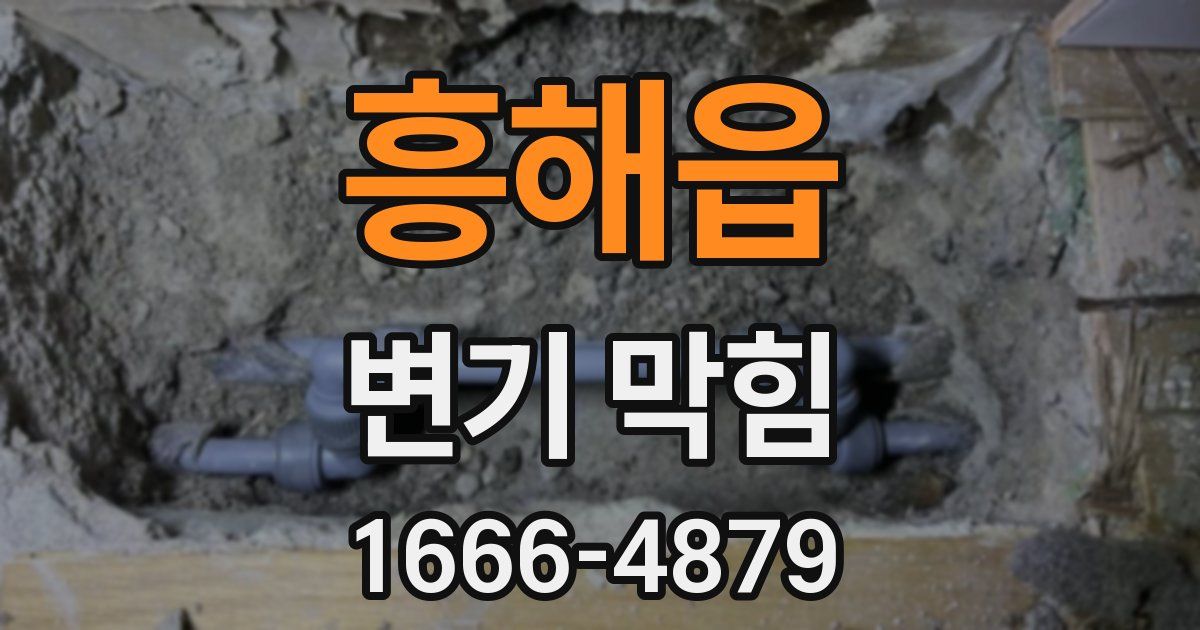 흥해읍 변기 막힘
