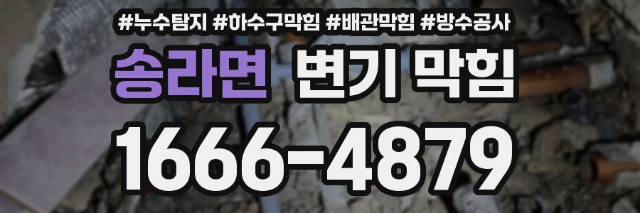 송라면 변기 막힘